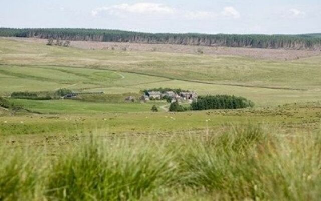 Gibbs Hill Farm