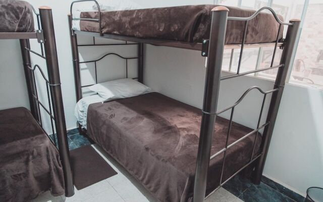 Hospedaje Arca House - Hostel