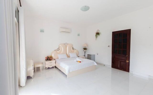 Tran Duy City Villa 2