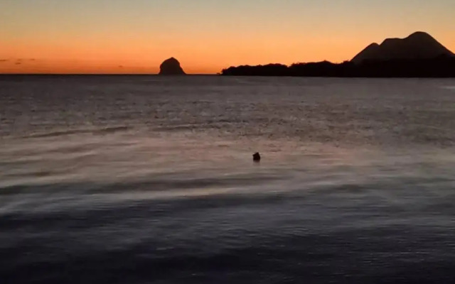 [5 min plage] T2 idéal pour Retraités/Jeune couple