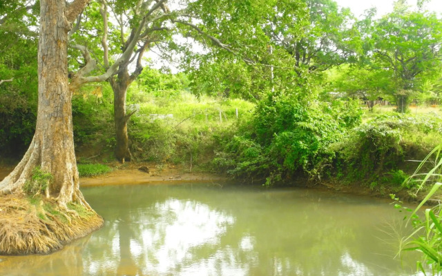 Sigiri Lakshan Home Stay