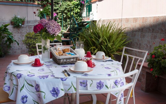 Holiday House The Red Cat