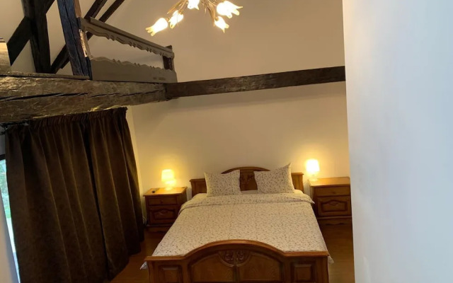 Pensiunea Bergwald Rasnov by BuySellRent