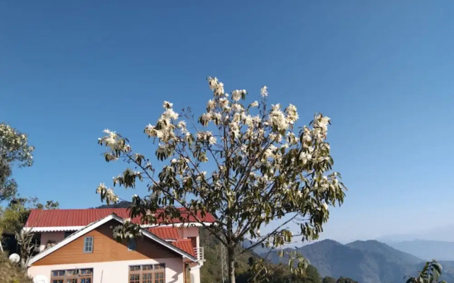 Grace homestay Sadam