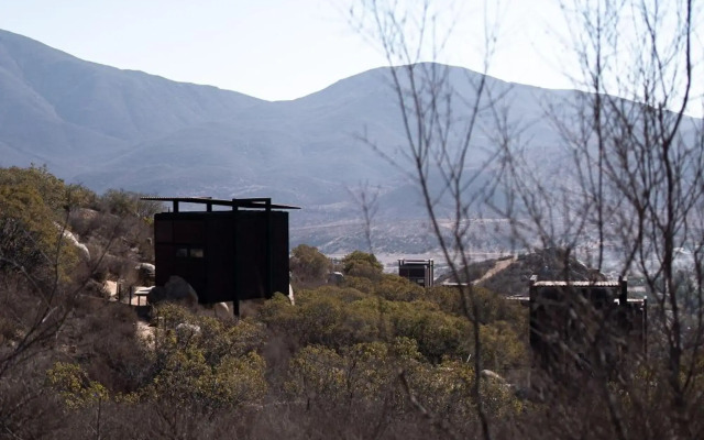 Encuentro Guadalupe