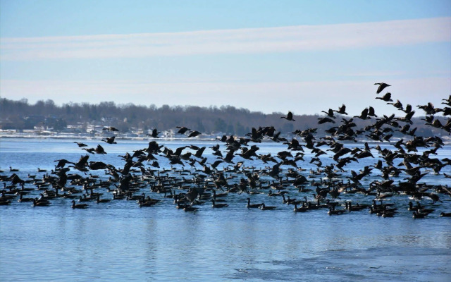 Dewar's Inn on the River