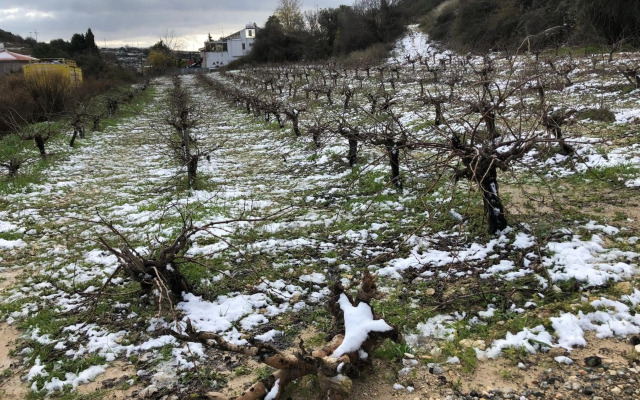 Pachna Studios - Village Life