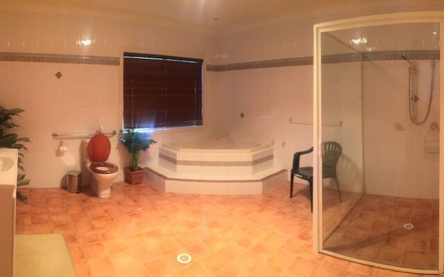 Blackwattle at Barrington Tops