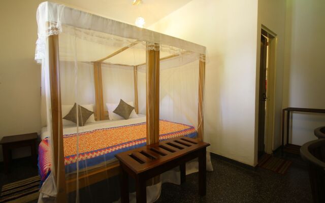 Bed and Bunk