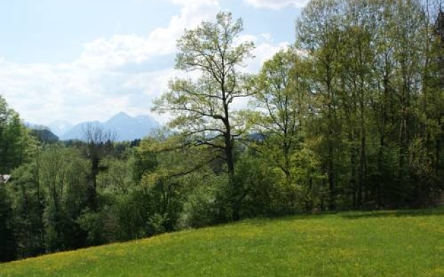 Ferienwohnung Bacher