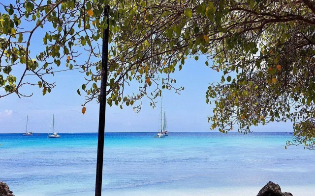 Comfort Inn & Suites Tobago