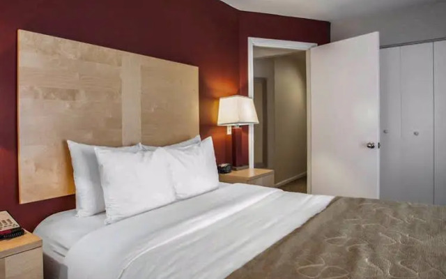 Comfort Suites Michigan Avenue Loop