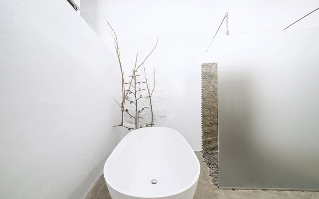 Alohamundi Dos De Mayo