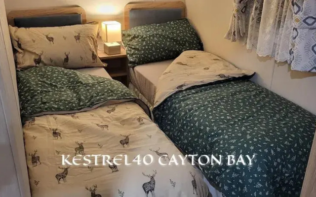 Cayton Bay Kestrel40