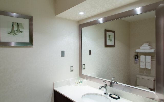 Holiday Inn & Suites Windsor Ambassador Bridge by IHG