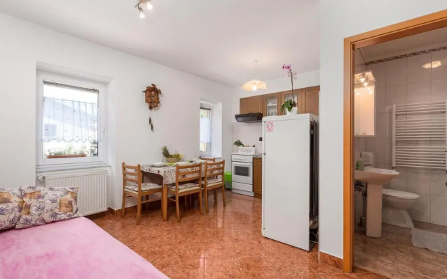 Nice Apartment in Fuzine With Wifi and 1 Bedrooms