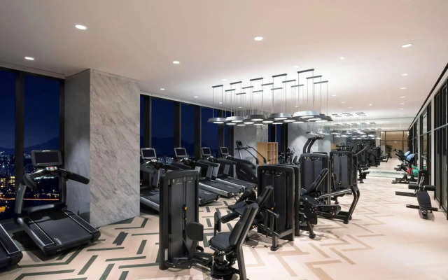 Novotel Ambassador Seoul Yongsan - Seoul Dragon City