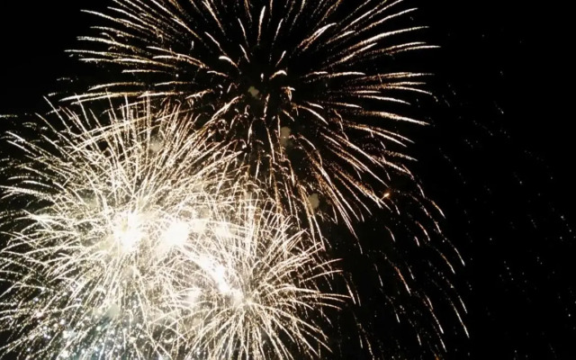 Papillon パピヨン