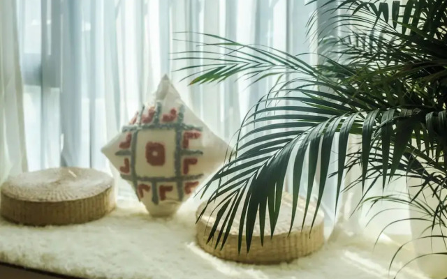 Xiwuju International