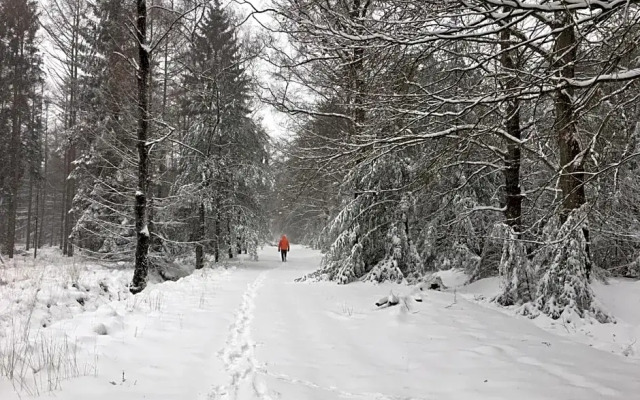 Bed & Breakfast De Stippelberg