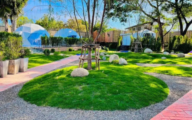 papa q suite resorts