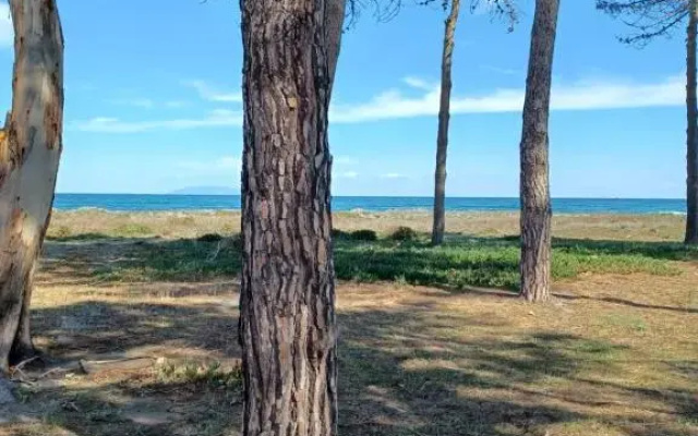 Oro Biancu