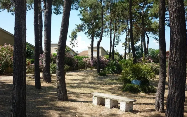 Sables de biguglia cordon lagunaire