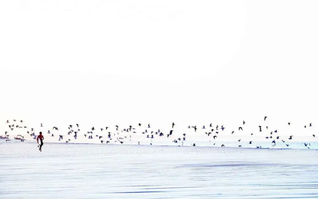Ocean Vagabond Dakhla