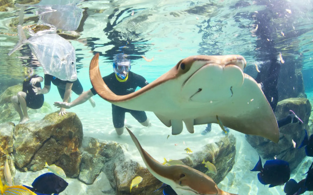 Staybridge Suites Orlando at SeaWorld by IHG