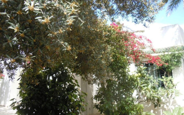 House With Garden Wala