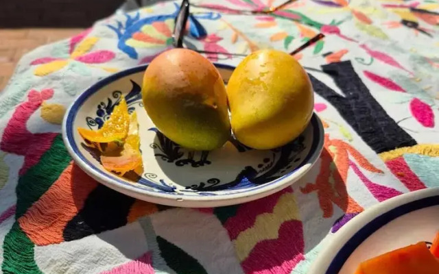 Hotel Misión, Acapulco Centro