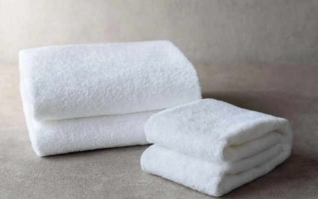 Mercure Toyama Tonami Resort & Spa