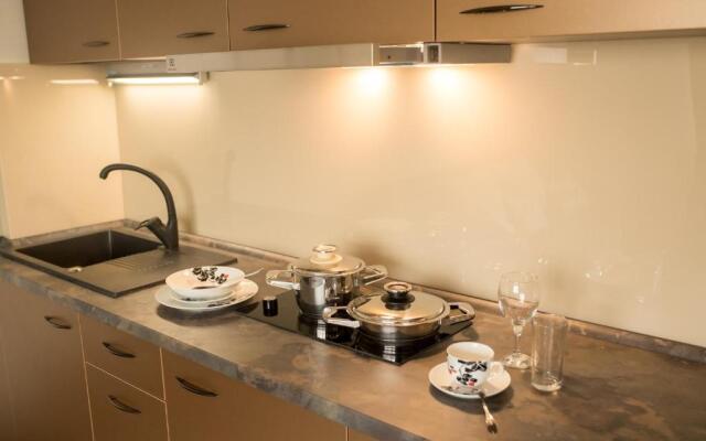 Vila Nicopole - art & wine