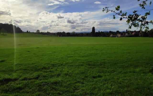 Worcester Town Centre Home & Garden