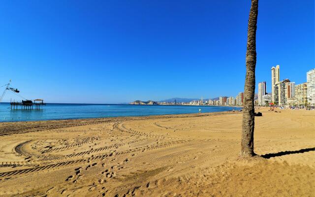 Don Miguel 1 10-B in Benidorm