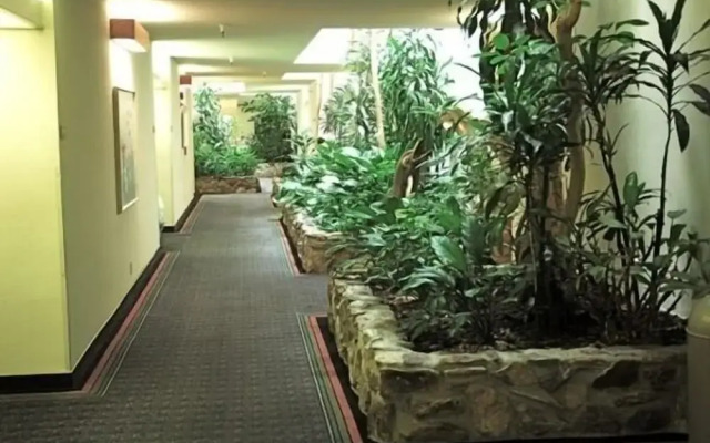 Monarch Resort