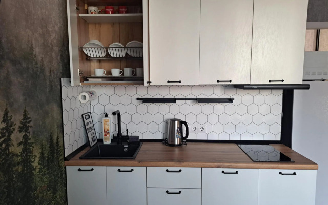 Апартаменты на проспекте Ленинградском 40к1