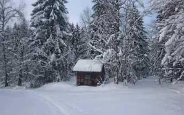 Ferienwohnung "Haus Piller"