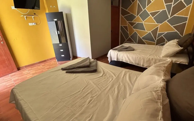 Ica adventures out of the woods