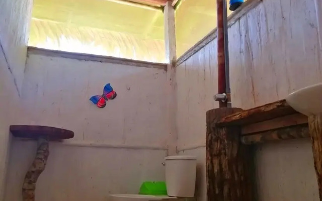 Shapshico Lodge Ayahuasca