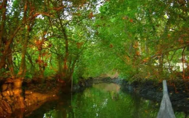 Narikulam Tharavad