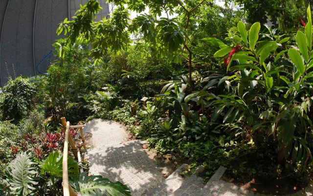 Tropical Islands