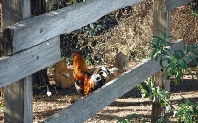 1150 #2 Arroyo Grande - 2 Br Home