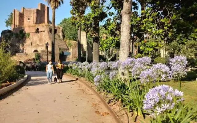 Ulysses In Rome