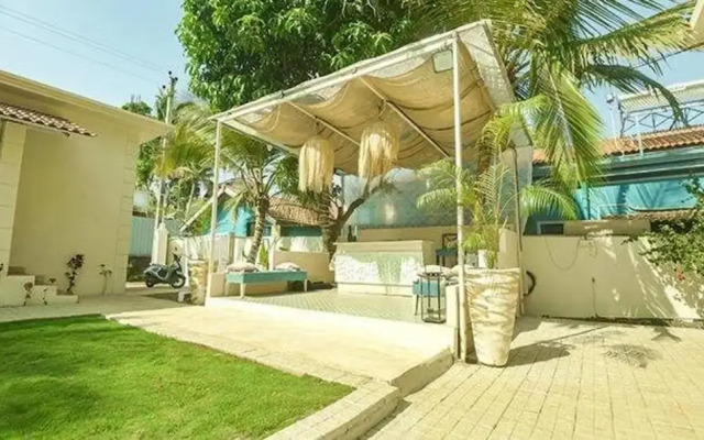 Fabexpress The Olive Turtle Homes