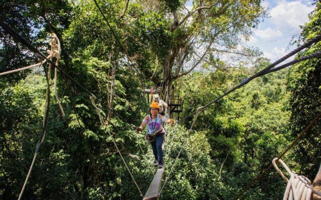 Avatar Amazon Lodge & Canopy Park