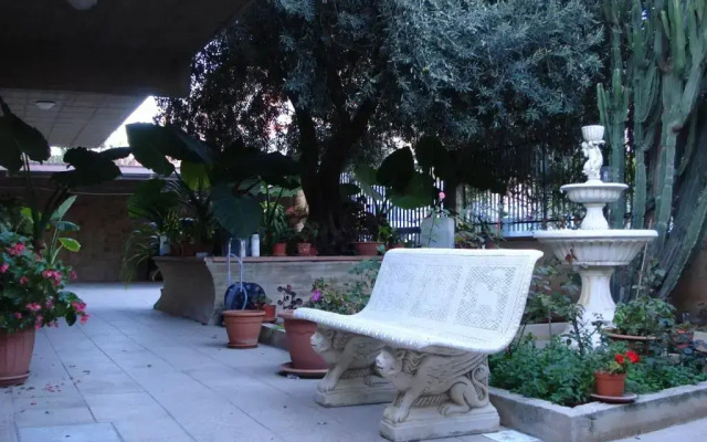 B&B Ulivo