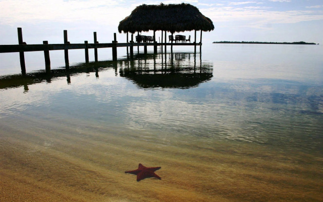 Chabil Mar Luxury Villas - Guest Exclusive Beach Resort