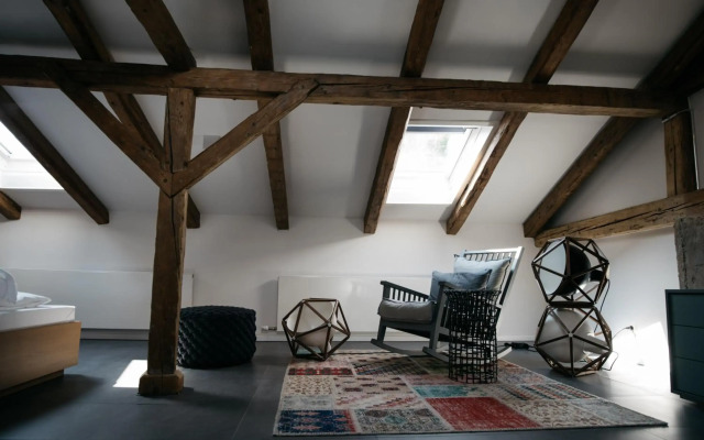 Arthotel Blaue Gans