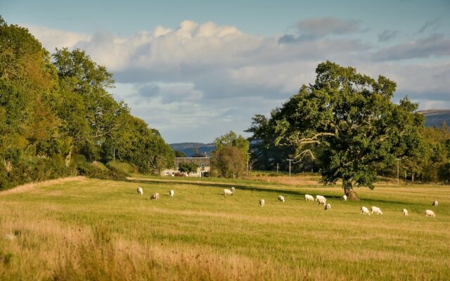 Cardross Estate Holiday Cottages